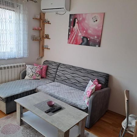 Stan na dan Nevena Appartement Lukavica Buitenkant foto