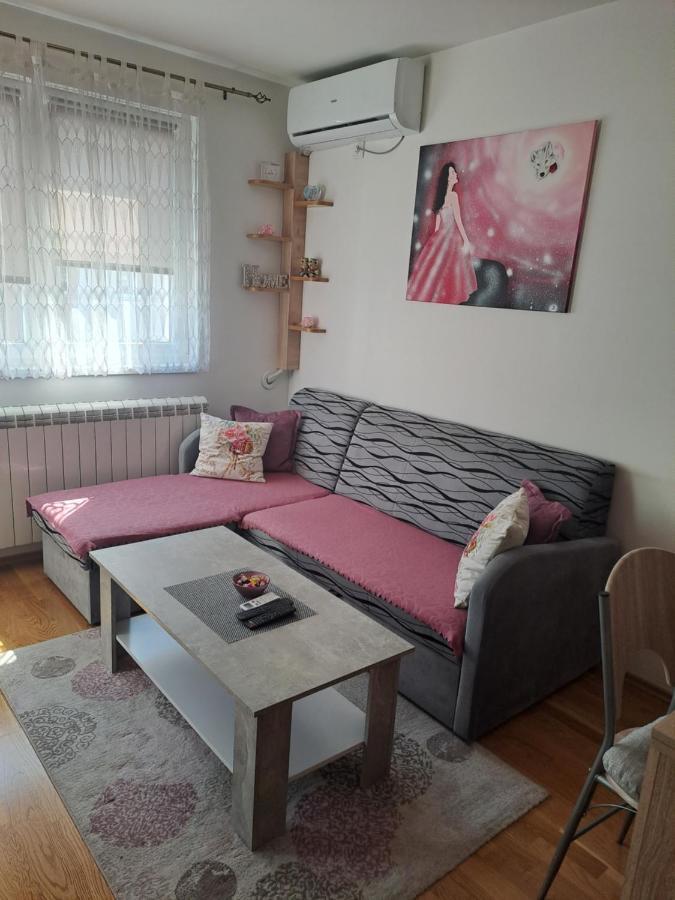 Stan na dan Nevena Appartement Lukavica Buitenkant foto